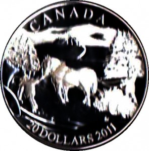 Coin photo