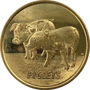 Coin photo