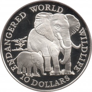 Coin photo