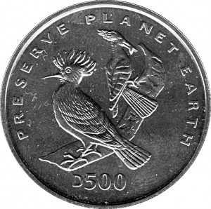 Coin photo