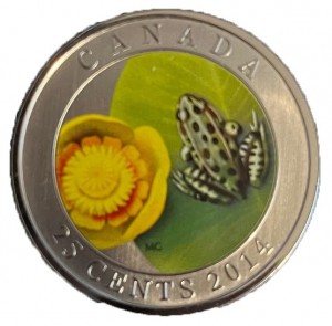 Coin photo
