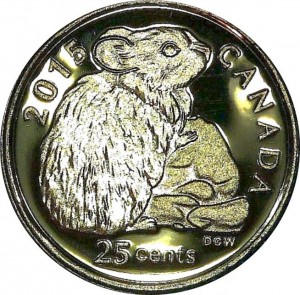 Coin photo