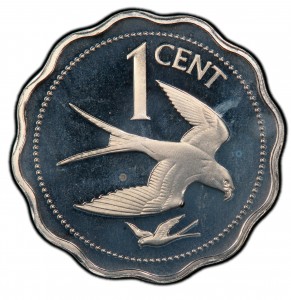 Coin photo