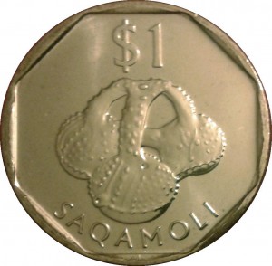 Coin photo