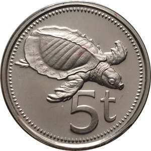 Coin photo