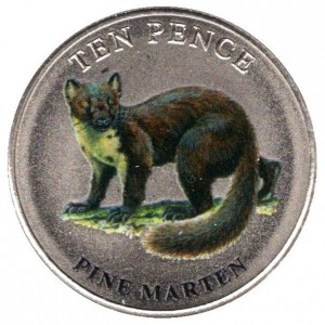 Coin photo
