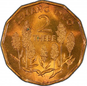 Coin photo