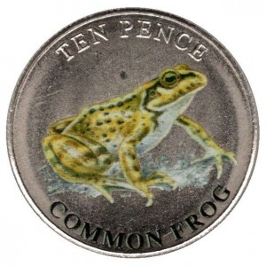 Coin photo
