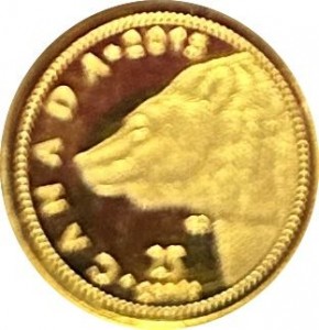 Coin photo