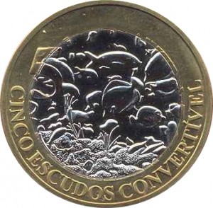 Coin photo