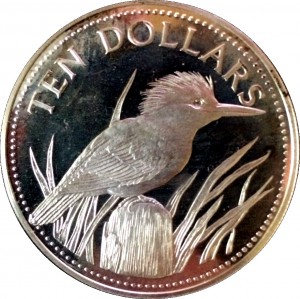 Coin photo