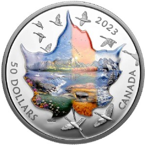 Coin photo