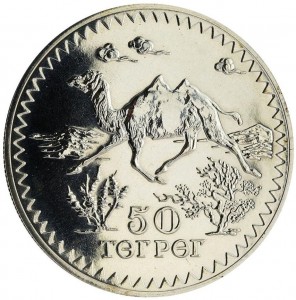 Coin photo