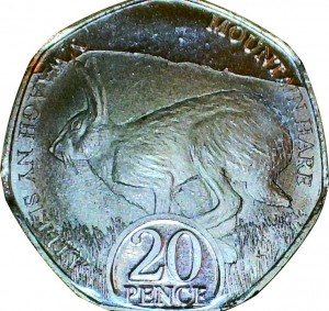 Coin photo