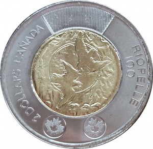 Coin photo