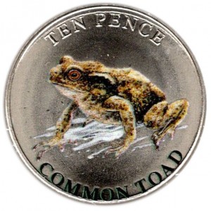 Coin photo