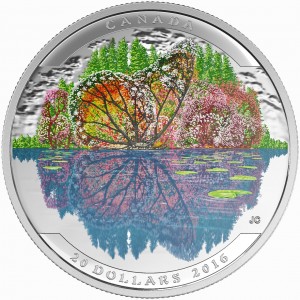 Coin photo