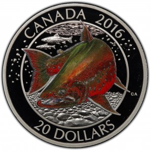 Coin photo