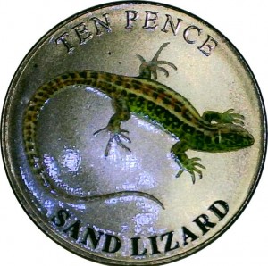 Coin photo