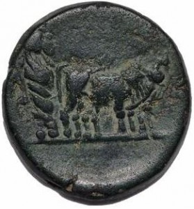 Coin photo
