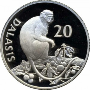 Coin photo