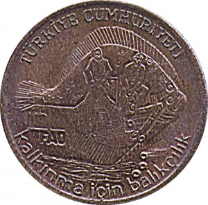 Coin photo