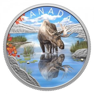 Coin photo