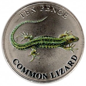 Coin photo