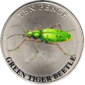 Coin photo
