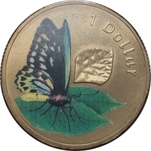 Coin photo