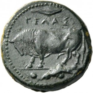 Coin photo
