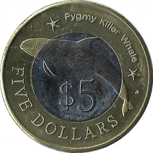 Coin photo
