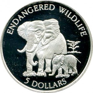 Coin photo