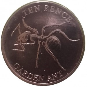 Coin photo