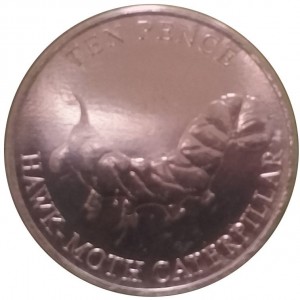 Coin photo