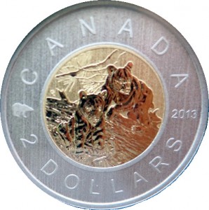Coin photo
