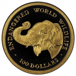 Coin photo
