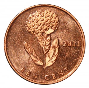Coin photo