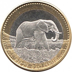 Coin photo