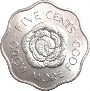 Coin photo
