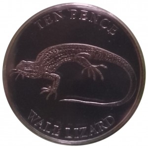Coin photo
