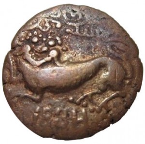 Coin photo