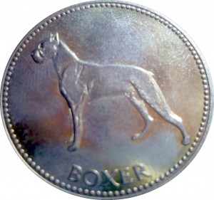 Coin photo
