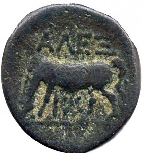 Coin photo