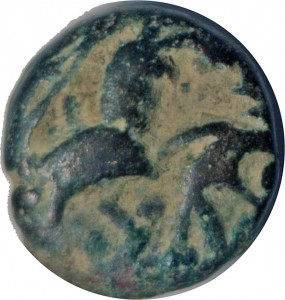 Coin photo