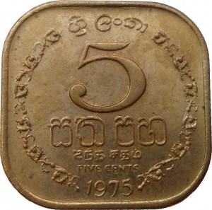 Coin photo