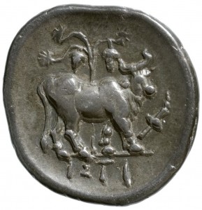 Coin photo