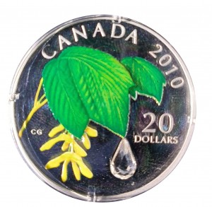 Coin photo