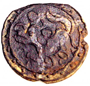 Coin photo