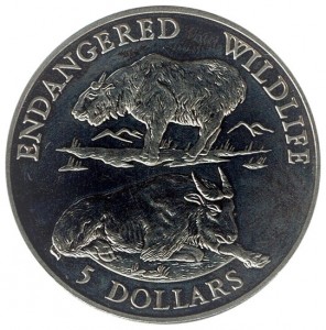 Coin photo